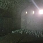 Nicole Ari Parker Instagram - Today my heart pounded as I stood in front of one of the two small windows...the only shaft of light..the only brief gust of wind inside the small female dungeon at #CapeCoastCastle. The spot that hundreds of shackled women surrounded by their dying sisters and children were forced in desperation to fight for... beg for..die for. A brief moment in the sun. A long visit to #CapeCoastCastle and #ElminaCastle was what I needed Sophie and Nicolas to experience. To see. To listen. To understand. They are two of the last remaining sites along the GoldCoast that bear witness to over 300 years of the brutality and horrors of the slave trade. We saw the powerful Nkyinkyim installation by artist Kwame Akoto-Bamfo depicting in terracotta the faces of people enslaved here. We walked thru the Door of No Return, following the path our ancestors took as they boarded ships. Then our guide #MrBlankson turned us around and we went back thru the same door...symbolizing our return. When we arrived at #ElminaCastle and Sophie saw the tiny door she had only read about..We stood in silence and then we prayed. 🇬🇭 Namanom yɛ hyɛ him ɛnyimnyam, yɛ da hom ase dɛ homdze bin aba fie.🇬🇭 Ancestors we honor you. We thank you for bringing us home.