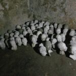 Nicole Ari Parker Instagram - Today my heart pounded as I stood in front of one of the two small windows...the only shaft of light..the only brief gust of wind inside the small female dungeon at #CapeCoastCastle. The spot that hundreds of shackled women surrounded by their dying sisters and children were forced in desperation to fight for... beg for..die for. A brief moment in the sun. A long visit to #CapeCoastCastle and #ElminaCastle was what I needed Sophie and Nicolas to experience. To see. To listen. To understand. They are two of the last remaining sites along the GoldCoast that bear witness to over 300 years of the brutality and horrors of the slave trade. We saw the powerful Nkyinkyim installation by artist Kwame Akoto-Bamfo depicting in terracotta the faces of people enslaved here. We walked thru the Door of No Return, following the path our ancestors took as they boarded ships. Then our guide #MrBlankson turned us around and we went back thru the same door...symbolizing our return. When we arrived at #ElminaCastle and Sophie saw the tiny door she had only read about..We stood in silence and then we prayed. 🇬🇭 Namanom yɛ hyɛ him ɛnyimnyam, yɛ da hom ase dɛ homdze bin aba fie.🇬🇭 Ancestors we honor you. We thank you for bringing us home.