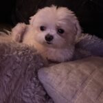 Nicole Faulkner Instagram - Slice of life 💕