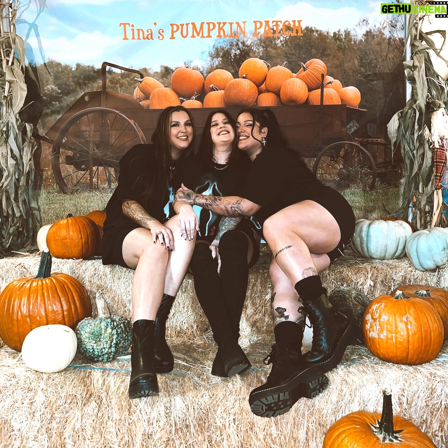 Nicole Faulkner - 16.2K Likes - cutest pumpkins in the patch 🎃