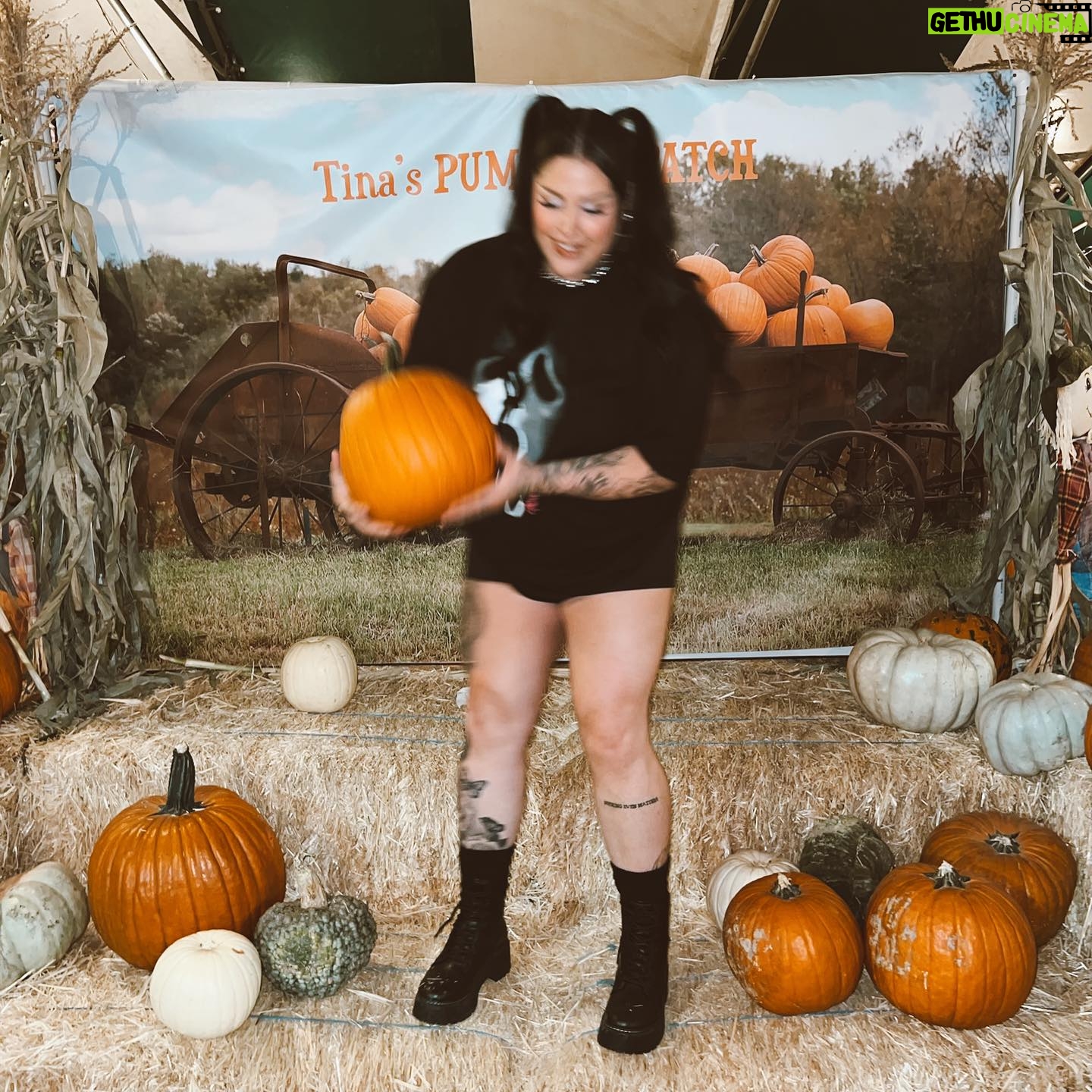 Nicole Faulkner - 16.2K Likes - cutest pumpkins in the patch 🎃