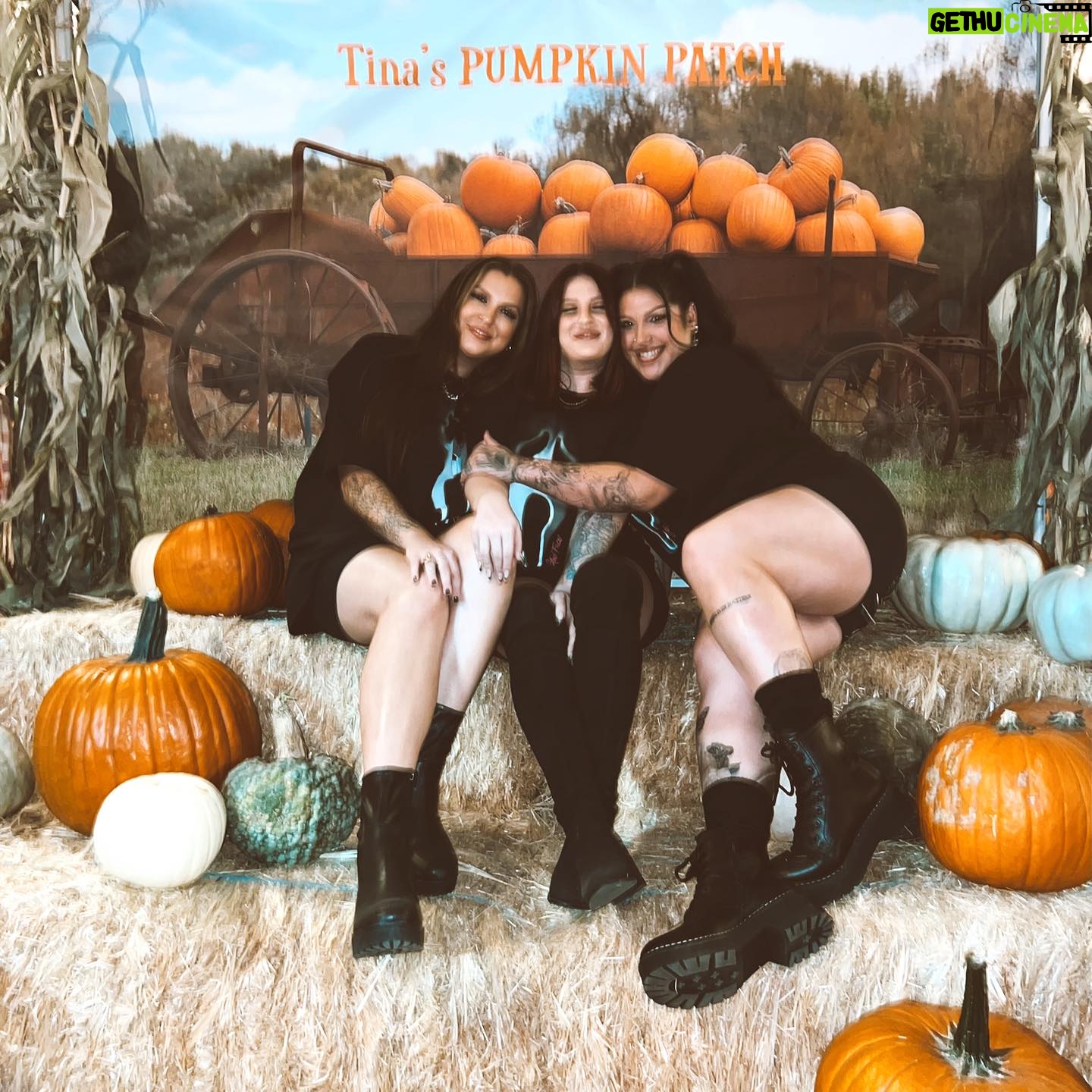 Nicole Faulkner - 16.2K Likes - cutest pumpkins in the patch 🎃