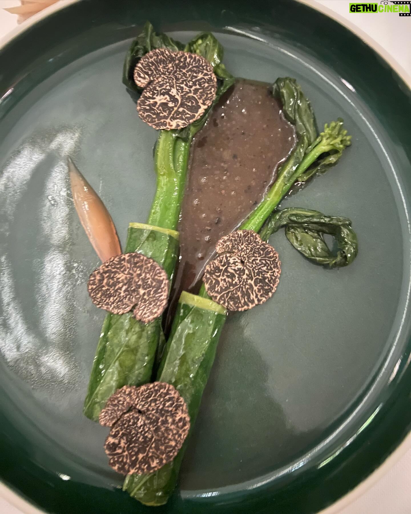 Nicole Franzel Instagram - Okay yes, I saw the documentary about this restaurant on Netflix and was like I’ve got to go 😛. The whole menu is plant based courses and it was the best (and most expensive 🤪) meal of my life BUT I’m so happy I went and grateful I found people who would love the whole experience with me. We met Chef Daniel Humm, got to go into the kitchen for a fun tour and tasting experience and left with very happy full bellies. This is a 3 hour event you don’t wanna miss. 🩷 I think this is what Vic feels like at a football game. I get it now 😂. and yes, I was the only one taking pics of the food. Sorry not sorry. This was not a causal Tuesday for me 😝 First caption: High quality food. High quality friendship. Low quality pics.