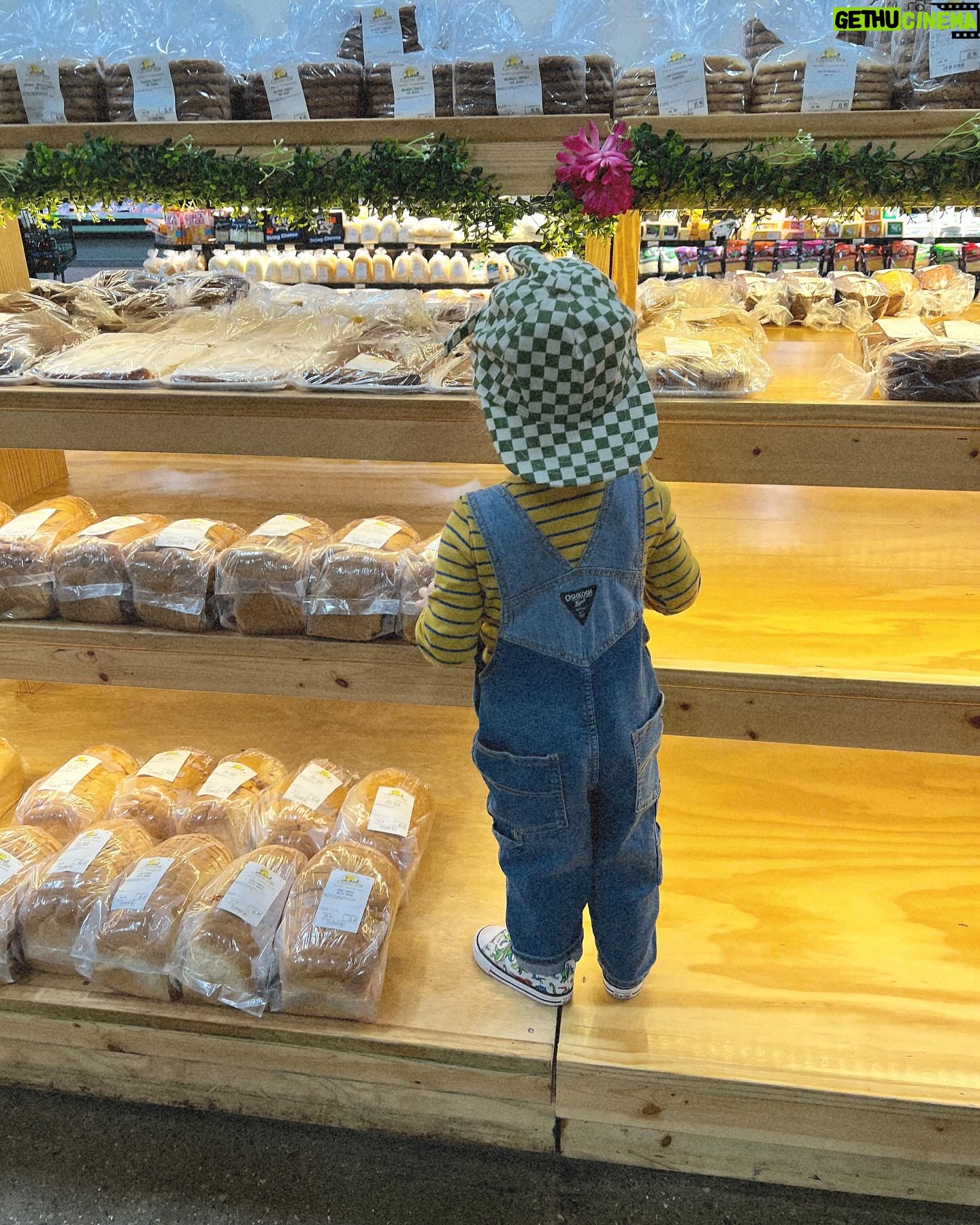Nicole Franzel Instagram - I’m not joking when I say arrow has as much fun going to the grocery store as he does Disney world. For that I believe I’m doing a good job making the small things big. Traveling the world or playing outside barefoot, there’s really no difference to me 🩷