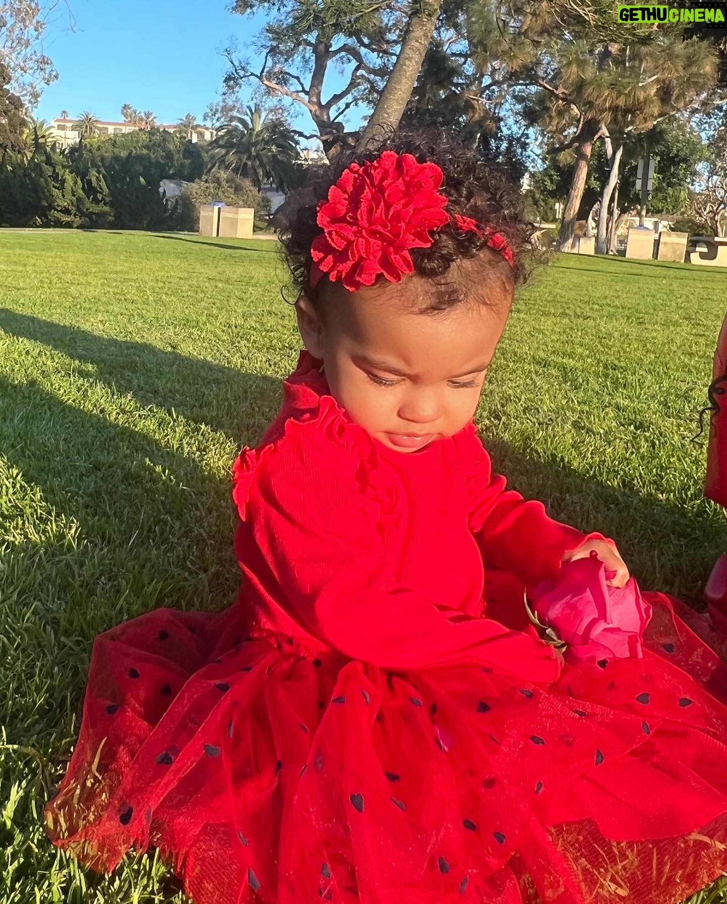 Nicole Lynn Williams Instagram - My forever Valentine ❤️🌹💌 @indiamoonenglish