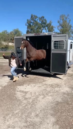 Nicollette Sheridan Instagram - Stepping into the week like 🐎 ... almost lost a toe 🦶#mygreatescape