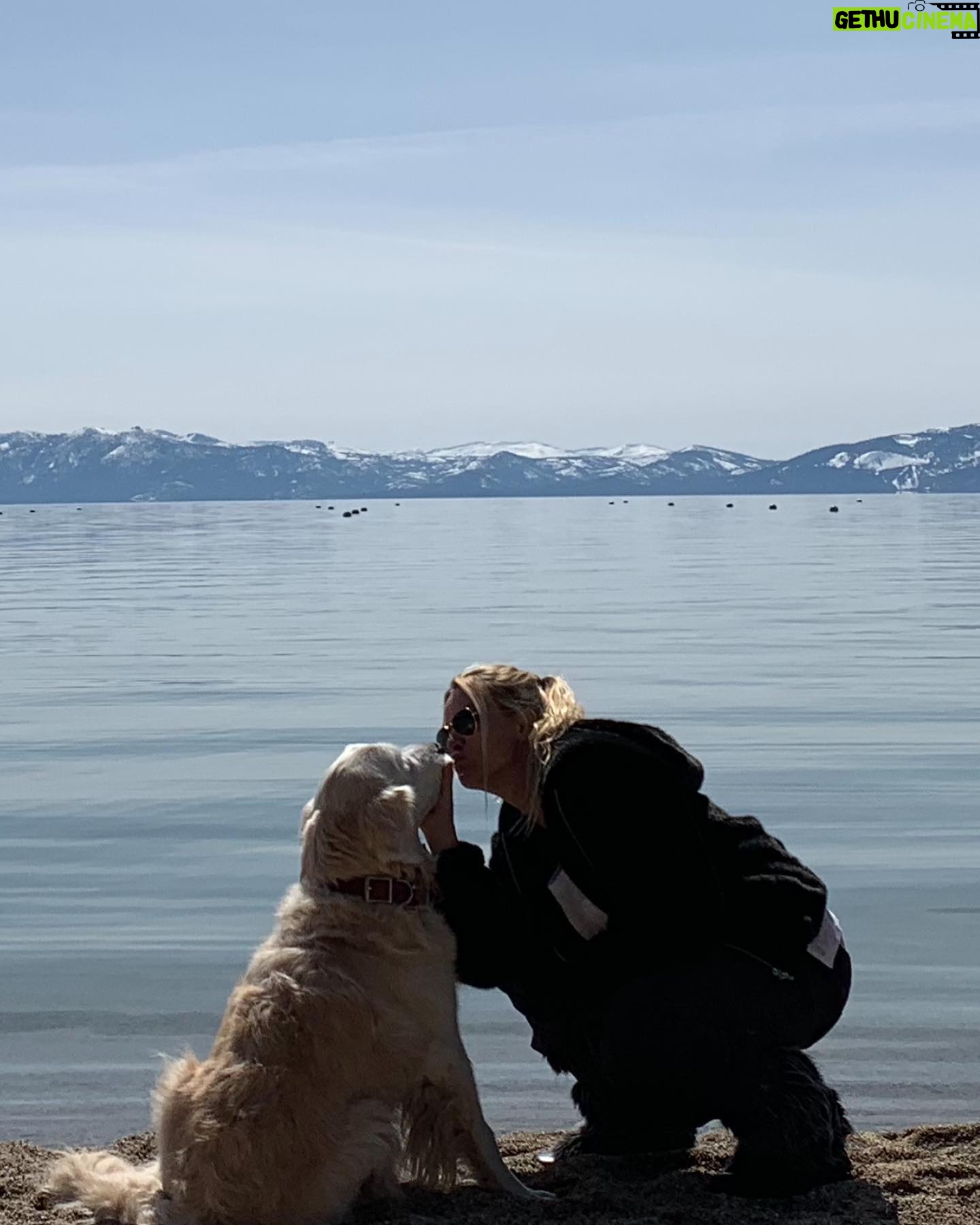 Nicollette Sheridan Instagram - ❤️ Magical moments ❤️