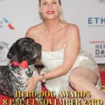 Nicollette Sheridan Instagram - My darling @k9_buda, Thank you for your courage and bravery and of course your love and dedication to your daddy and your country…I loved snuggling with you on the carpet before presenting your well deserved 2023 Military Hero Dog Award. I hope to relax and play ball with you one day…until then, be safe and know you are appreciated and loved! ❤️ @americanhumane @herodogawards @thebreakers