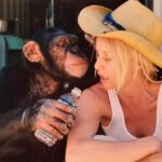 Nicollette Sheridan Instagram – Who doesn’t love being taken care of?? #sundayfunday #animals #friends