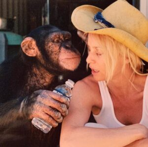 Nicollette Sheridan Instagram - Who doesn’t love being taken care of?? #sundayfunday #animals #friends