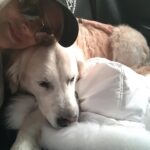 Nicollette Sheridan Instagram - ❤️ Tenderness ❤️