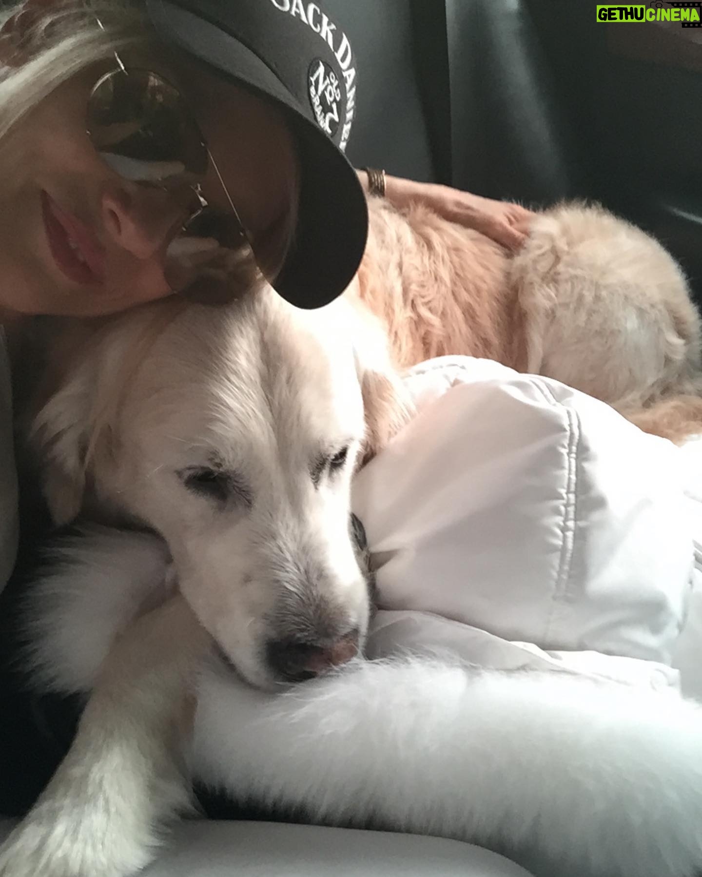 Nicollette Sheridan Instagram - ❤️ Tenderness ❤️