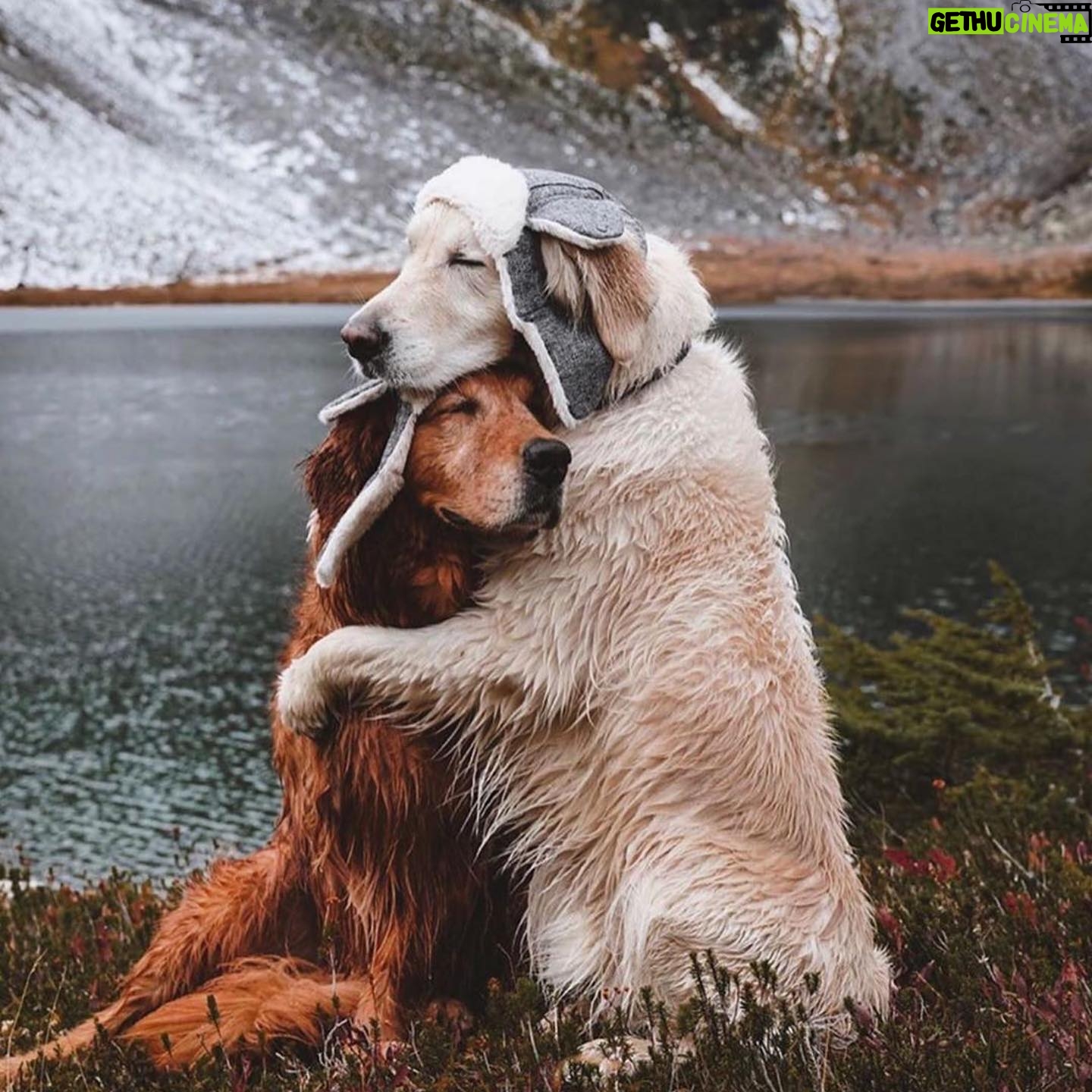 Nicollette Sheridan Instagram - Awwww...❤️ #Repost @foundwildproject ・・・ In the spirit of Valentines Day, here’s to more adventures with your sidekick. _ Photo: @wat.ki #happyvalentinesday #valentines
