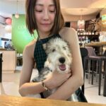 Nikki Hsieh Instagram – 🐾