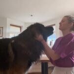 Nikol Štíbrová Instagram – Amálka & Břéťa ❤️ 

#vetsiuznemeli #maxipesfík