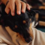 Nikol Štíbrová Instagram – UKONČENO:)
Ať už slavíte Mikuláše jakkoli, studentská pečeť je vždycky dobrá volba:)

A pro ty, co třeba nejsou úplně čokoládoví, tu mám ještě jinou nadílku – zasoutěžíme si o iPhone 14, ten může asi každý:)

Pravidla hry:

1. Dej follow profilu @studentskapecet
2. Označ do komentáře kamaráda, kterému by výhra udělala radost ( můžeš dát i víc
komentářů, označit více přátel )
Soutěž poběží od 4/12 do 11/12, pak si zalosujeme:)

#StudentskaPecet #FaktKus� #spoluprace
