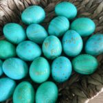 Nikol Štíbrová Instagram – Šťastný a veselý vinšujem! 🌸
