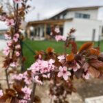Nikol Štíbrová Instagram – Šťastný a veselý vinšujem! 🌸