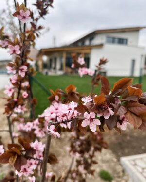 Nikol Štíbrová Instagram - Šťastný a veselý vinšujem! 🌸