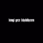Nilperi Şahinkaya Instagram – Hangi Gece Büyüdüysem 
@onur_guler