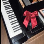 Nilsu Yılmaz Instagram -