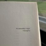 Nilsu Yılmaz Instagram - Randoms 🪽