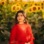 Nimrat Khaira Instagram – Mujhe maloom hae mera chehra tere dil ka sakoon hae …