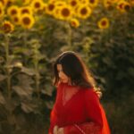 Nimrat Khaira Instagram – Mujhe maloom hae mera chehra tere dil ka sakoon hae …