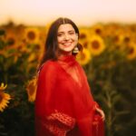 Nimrat Khaira Instagram – Mujhe maloom hae mera chehra tere dil ka sakoon hae …