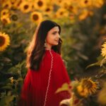 Nimrat Khaira Instagram – Mujhe maloom hae mera chehra tere dil ka sakoon hae …