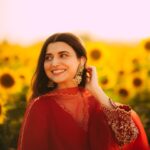 Nimrat Khaira Instagram – Mujhe maloom hae mera chehra tere dil ka sakoon hae …