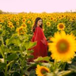 Nimrat Khaira Instagram – Mujhe maloom hae mera chehra tere dil ka sakoon hae …