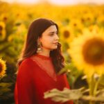 Nimrat Khaira Instagram – Just a girl who loves sunflower.

🌻🌻♥️♥️