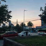 Nina Lu Instagram - life lately, summarized