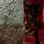 Ning Yi Zhuo Instagram - 흐엉 허리아파