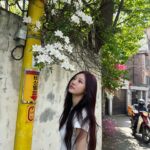 Ning Yi Zhuo Instagram - 봄이댱🌸