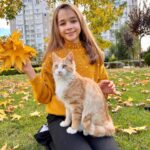 Nisa Sofiya Aksongur Instagram - 🐱 💛 #nisasofiya #kedi #sonbahar #pozönerileri