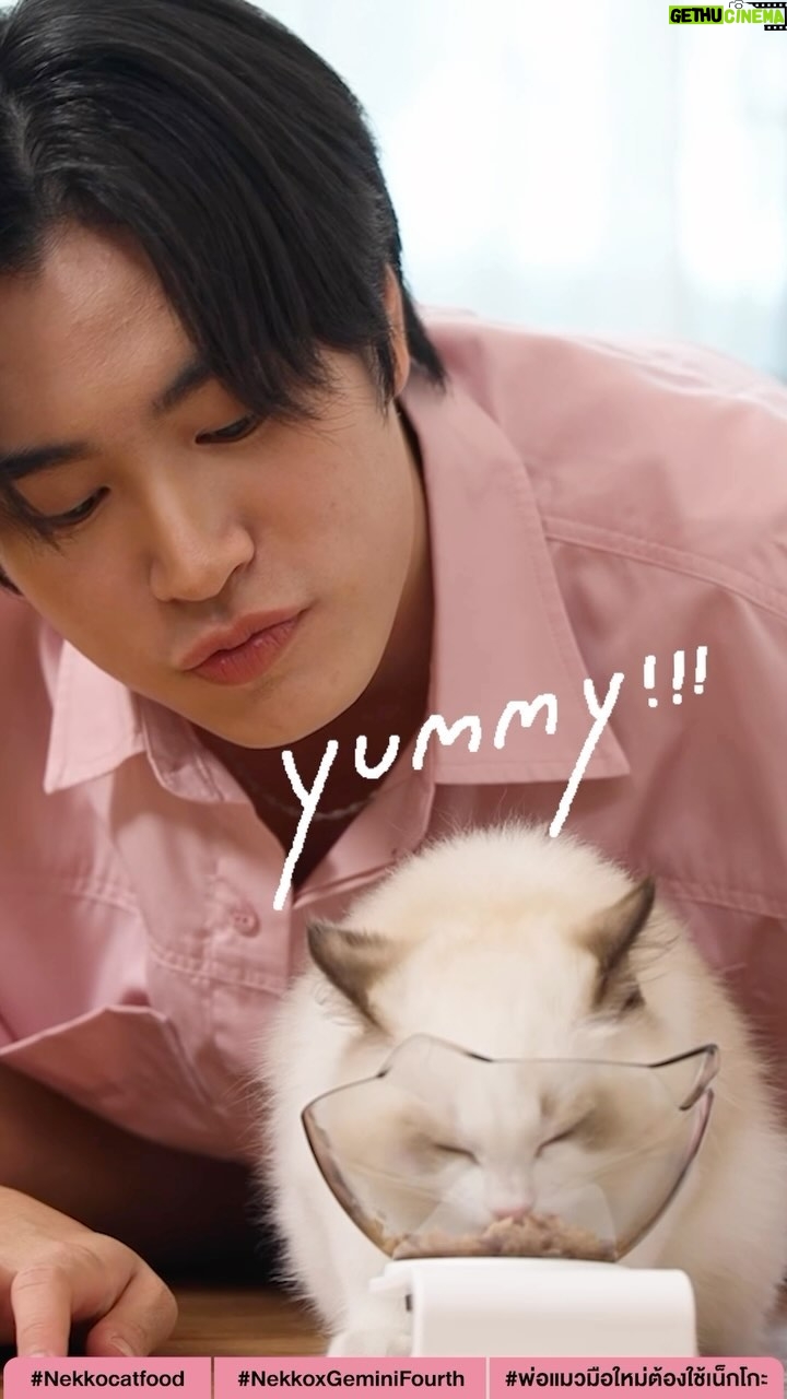 Norawit Titicharoenrak Instagram - เมี๊ยววว🐱 ใกล้หมดเขตกิจกรรมแล้วนะค้าบ ใครอยากมาสัมผัสความน่ารักของพ่อแมวสองคนนี้แบบ Exclusive ต้องรีบร่วมกิจกรรม #NekkoxGeminiFourth กันเลย! เพียงถ่ายคลิปโมเมนต์น้องเหมียวของคุณกับอาหารแมวเน็กโกะ แล้วโพสต์ลง Tiktok หรือ X พร้อมเขียนแคปชั่น “อยากแนะนำเคล็ดลับการดูแลน้องเหมียวด้วย อาหารแมวเน็กโกะอย่างไร ให้กับพ่อแมวมือใหม่” และติด Hashtag #พ่อแมวมือใหม่ต้องใช้เน็กโกะ #NekkoxGeminiFourth และ #NekkoCatFood เท่านี้ก็ได้ลุ้นเป็น 5 ผู้โชคดี ได้เข้าโซนพิเศษงานเปิดตัวพ่อแมวมือใหม่ และร่วม Exclusive Event กับพวกเราไปเลย ร่วมสนุกได้ถึง 2 ก.พ. นี้เท่านั้น ต้องรีบแล้วนะครับ คุณพ่อลอร์ดจุ๊มุ และคุณพ่อน้องมันม่วง รอเจอทุกคนอยู่น้าาา