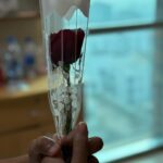 Nusrat Imroz Tisha Instagram - গোলাপ টা হাতে পেয়ে তার মুখে একটা হাসি ফুটে উঠলো। যে হাসিটা অমুল্য আমার কাছে। #tisha #nusratimrosetisha #imrose #rose #mostofasarwarfarooki #friday
