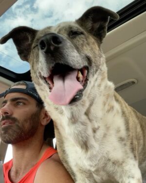 Nyle DiMarco Instagram - Haven’t posted in a long while... I miss you all :) PHOTO DUMP!