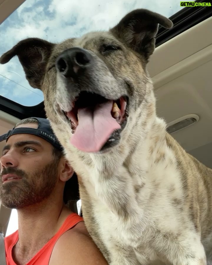 Nyle DiMarco - 135.5K Likes - Haven’t posted in a long while... I miss you all :) PHOTO DUMP!