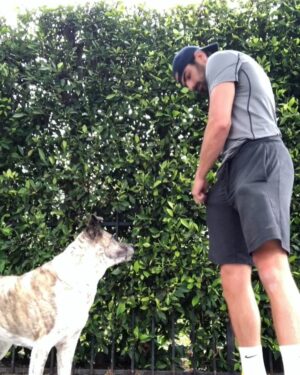 Nyle DiMarco Instagram - yes dogs can understand sign language!
(the kiss trick is my absolute favorite)