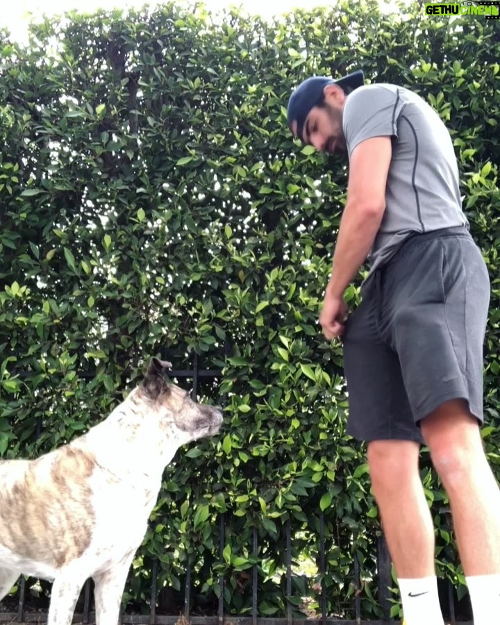 Nyle DiMarco - 181.3K Likes - yes dogs can understand sign language!
(the kiss trick is my absolute favorite)
