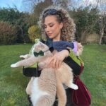 Océane Amsler Instagram - Je suis trop contente d’avoir récupéré mes chats 🥹 Ils m’avaient trop manqué mes petits hamburgers. J’avais trop peur qu’ils m’oublient ces gros pancakes. Ils sont trop gros, je les aime trop 🥹 Ils m’ont pas oublié Dieu merci 🧚🏼‍♀️