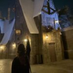 Odessa A'zion Instagram - @unistudios genuinely best day EVER! was able to give my lil brother the best experience his first time here, tank you ☺️…next up wizard school