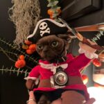 Odessa A'zion Instagram - first person to guess where I am gets a golden Star of David 😬😅🎃🦭🍬