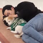 Ok Taec-yeon Instagram - 명절때마다 개가 되는 나 그리고 에디 @eddieakagaedi