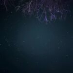 Ok Taec-yeon Instagram - 혹시 캠핑이 힘드신가요? 그건 당신이 나약한 탓입니다. camping needs only power