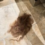 Olga Kurylenko Instagram - I think I just got the best haircut I’ve had in years! Thank you dear Carlos and Rossano for making this happen ✨ So much dead and dry hair off and I now feel fresh and ready for the sunny days 🤩 @rossanoferrettiofficial @therealrossanoferretti @mabodimika