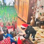 Olga Kurylenko Instagram - Merry Christmas to those who celebrate 🎄🎅🎁